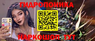 прущие крисы Ирбит