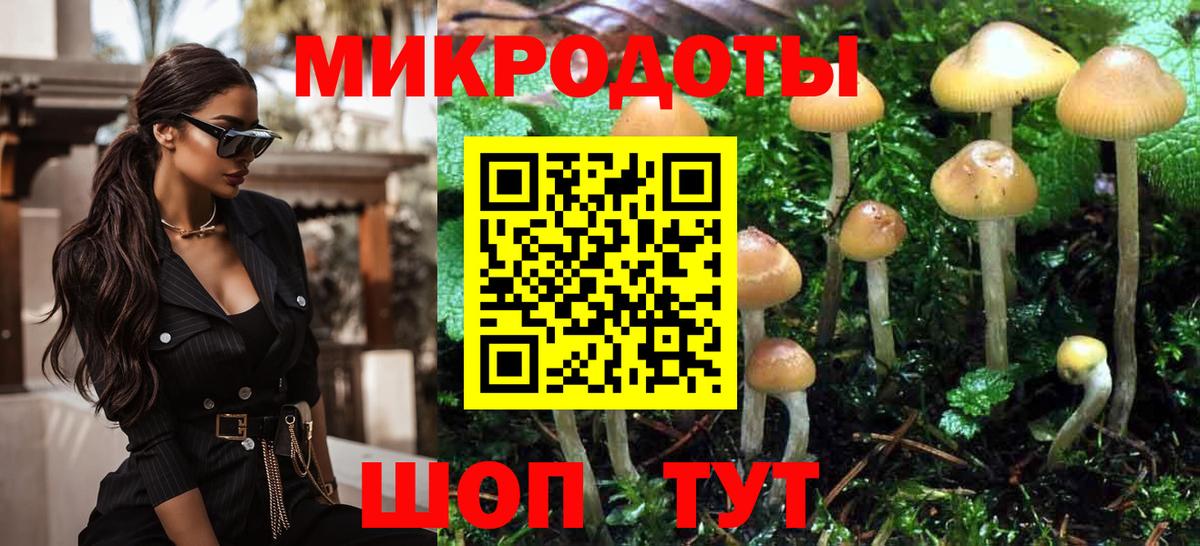 Псилоцибиновые грибы Magic Shrooms Красногорск